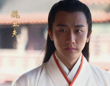 魏丑夫本来是一个大帅哥的 为什么名字中会带一个丑字呢