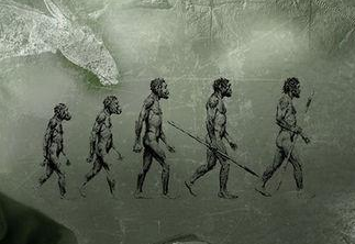 与达尔文同一时期的生物学家华莱士为什么被历史遗忘？