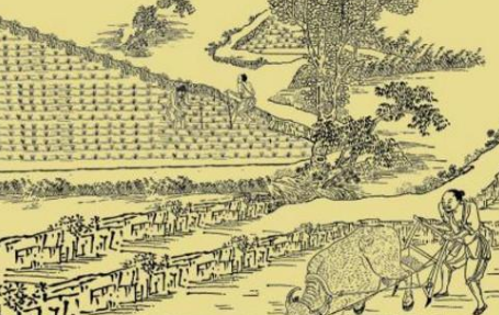 重农抑商对当代的启示有哪些 政策形成的根源在什么地方