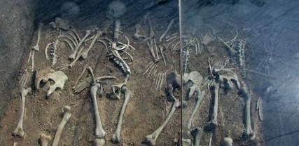 古代后宫的下场到底是什么样的 除了白绫一条之外还有哪些