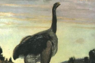 孔甲养的到底是龙还是扬子鳄？真相是什么