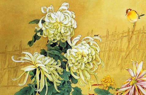 朱元璋和黄巢军自比菊花是什么回事？菊花有什么含义？