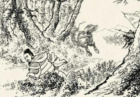 &ldquo;河北四庭柱&rdquo;之一的张郃真的是肉头吗？张郃是个怎么样的人？