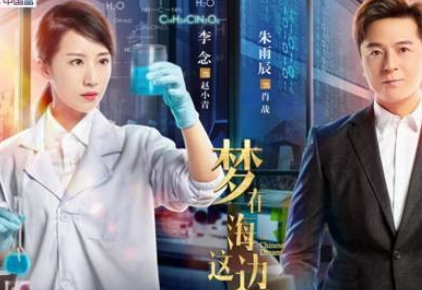 《梦在海这边》赵小青和肖战结局如何 赵小青和肖战最后创业成功了吗
