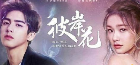 《彼岸花》主演有谁 电视剧为什么还不播出