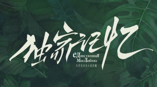 《独家记忆》剧情怎么样 网友们又是怎么说的