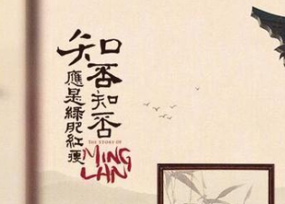 《知否知否应是绿肥红瘦》明兰生孩子遭小秦氏迫害，做了这件事