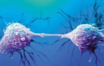 为什么&ldquo;海拉细胞&rdquo;可以永生？它为人类做了多大贡献？