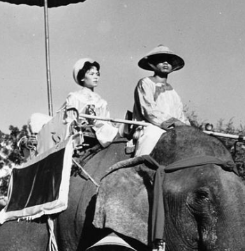 征氏姐妹曾夺下65座城池，越南人将她们视为英雄