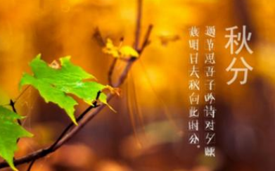 二十四节气中的“秋分”从何而来？都有什么习俗呢？