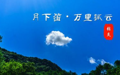 宋词鉴赏之月下笛·万里孤云，该词的作者表达什么情感？
