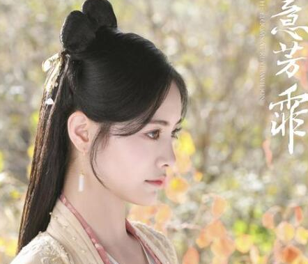 《如意芳霏》傅容刺杀肃王成功了吗 傅容知道满意楼的存在吗