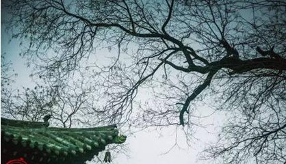 《过晋阳故城书事》的内容是什么？《过晋阳故城书事》诗词赏析