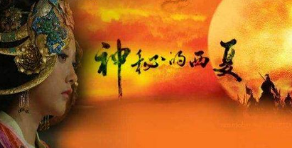 西夏就在金国的旁边 金国为何不趁机消灭这个小国