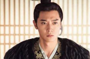 隋文帝对府兵制进行了哪些改变？