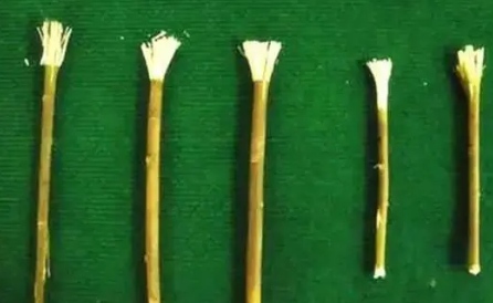古人会刷牙吗？古代人用什么刷牙呢？