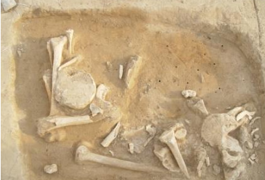 尧舜究竟是什么关系？考古人员大胆假设颠覆认知！