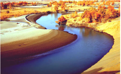 塔里木河：中国最大的内流河，流域面积达19. 8万平方千米