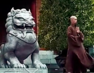 狮子源于非洲属于外来物种，为何我国古代镇宅要用狮子？