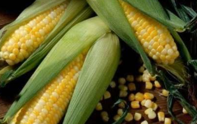 古代逢年过节或宴请客人为什么不能将玉米摆出来 其实原因很简单