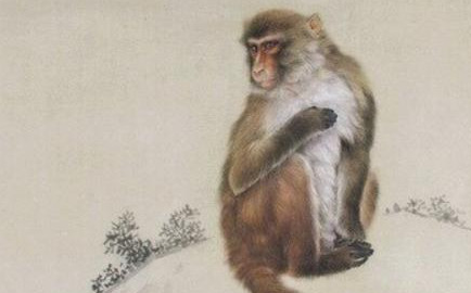 历史上关于猴的诗词有哪些？古人如何评价生肖猴？