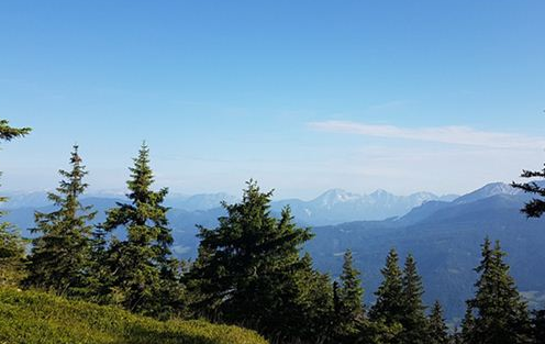 梦中出现“山林”是好是坏？有何象征意义？