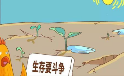 关于适者生存有什么寓言故事？故事教会了什么道理？