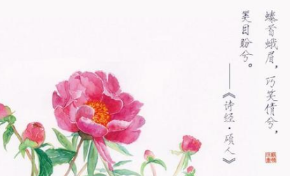 硕人的内容原文是什么？诗经中的硕人该如何赏析？ 