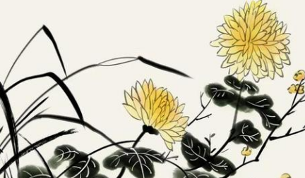 唐代诗歌叹庭前甘菊花该怎么赏析？诗的原文内容是什么？