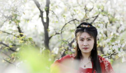 宋代苏轼之木兰花令·次马中玉韵赏析，这首词表达了什么情感？