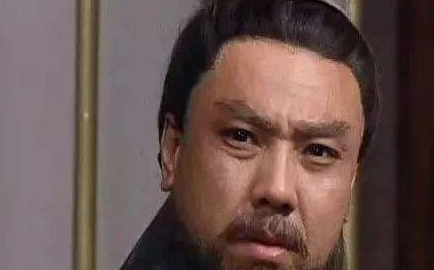 刘备专门培养来替换诸葛亮的人是谁？为何会英年早逝？