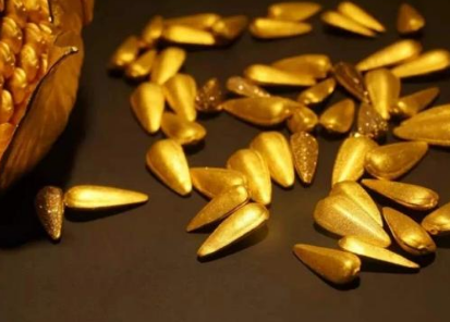 古代的“金瓜子”是什么东西？“金瓜子”不能买卖有什么用？