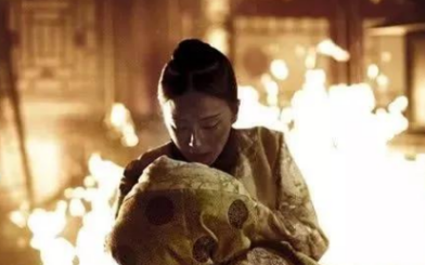 祖母和孙女前后进宫，祖母宠冠六宫，孙女结局如何？