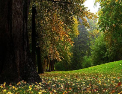 秦始皇当初为什么打下这个无用之地 事实证明秦始皇是对的 