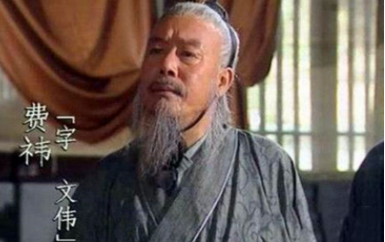 诸葛亮去世后，都是哪些人代替他支撑起了蜀国？