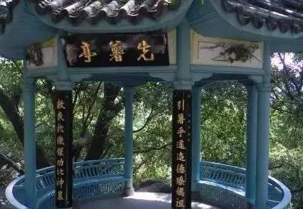 陈振农为什么要冒死带番薯藤回国？原因是什么