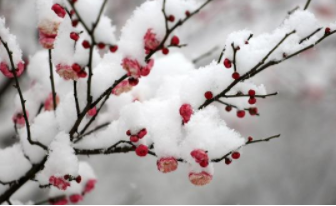 &ldquo;雪满长安道&rdquo;出自哪首词？为什么后世对舒亶评价不高？