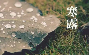二十四节气中的“寒露”的由来是什么？又会有哪些气候变化呢？