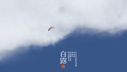 二十四节气中的“白露”的由来是什么？又会有哪些气候变化呢？