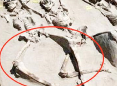 古代殉葬的妃子死后 双腿为什么都是分开的