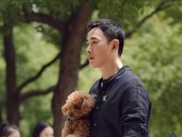 《安家》徐文昌为什么离婚？背后是什么原因？
