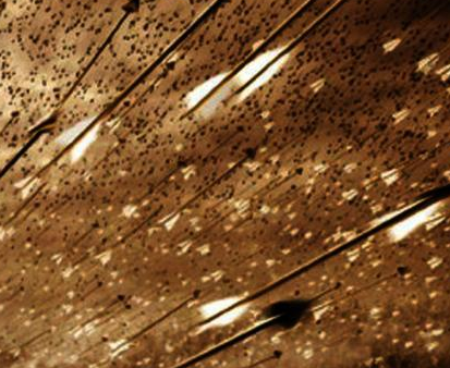 古代弓箭真的有电视演的那么厉害吗 弓箭兵为什么没有成为主力