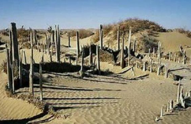 精绝古国是怎么消失的 城中到底发生了什么事情