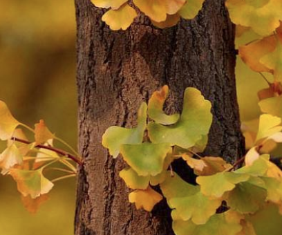 明朝武将王越身经百战，写下一首词凄美无比