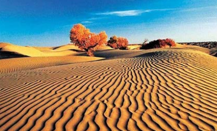 塔克拉玛干沙漠：中国最大的沙漠，总面积337600平方千米