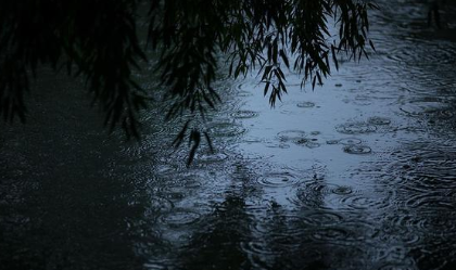 白居易一首经典的写雨诗，全篇没出现一个雨字