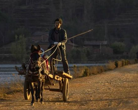 古代马车为什么都是两个轮子的 四个轮子的马车不是更稳吗