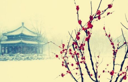 宋词鉴赏之雪梅香·景萧索，其表达了作者什么情感？
