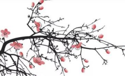 宋词之虞美人·宜州见梅作赏析，该词描绘了什么景象？