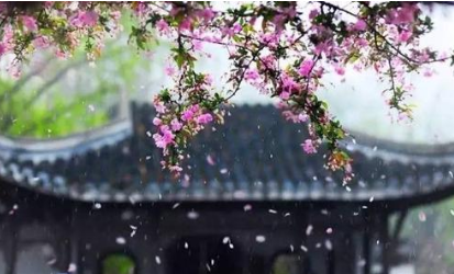 宋词之玉楼春·洛阳正值芳菲节赏析，该词的作者想告诉我们什么？